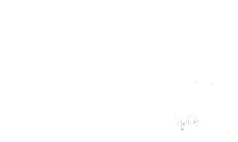 Saxess By Ca